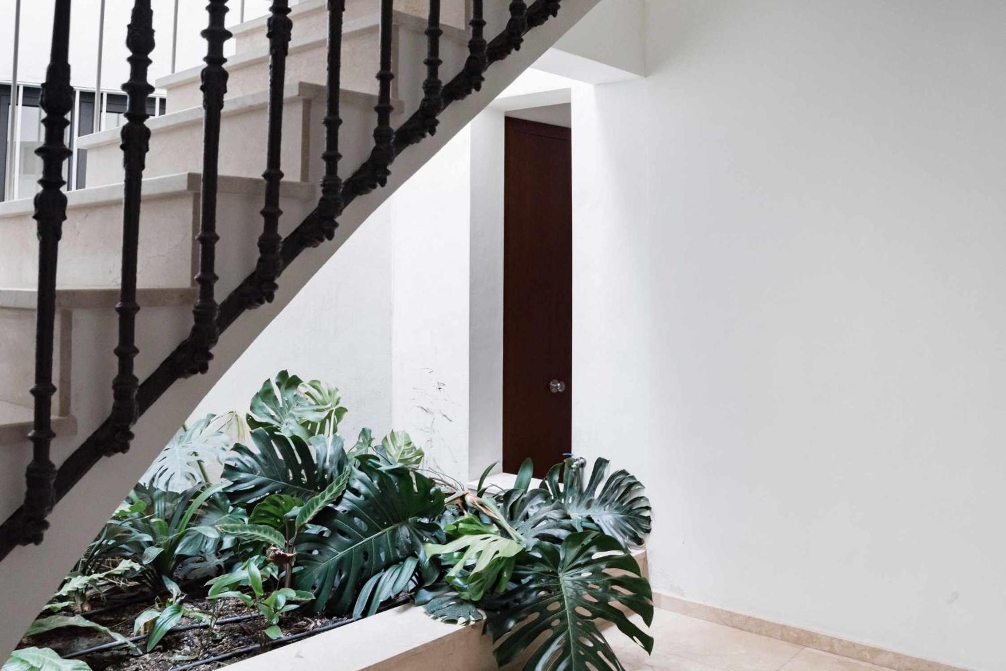 Appartement Alemaison Highend Historic Center With 2 Balconie